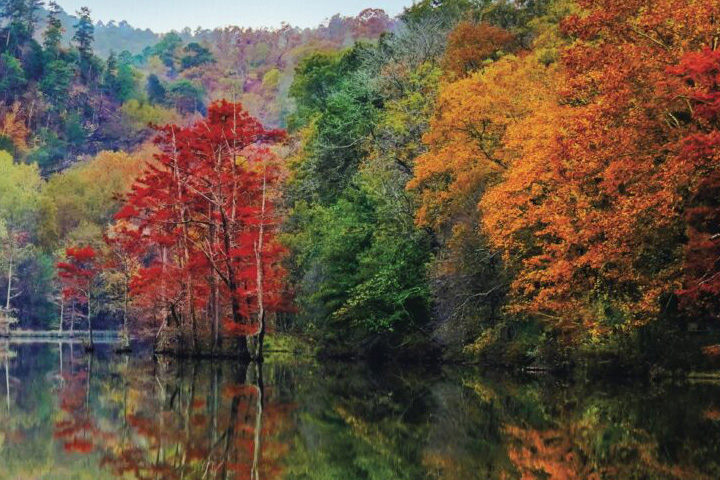 Thing To Do Beavers Bend State Park 